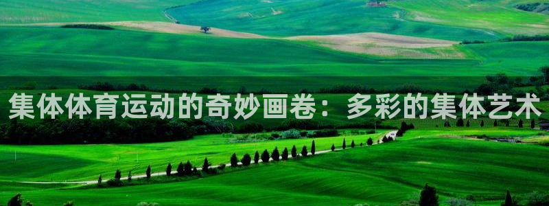 乐球体育赛事直播：集体体育运动的奇妙画卷：多彩的集体艺术