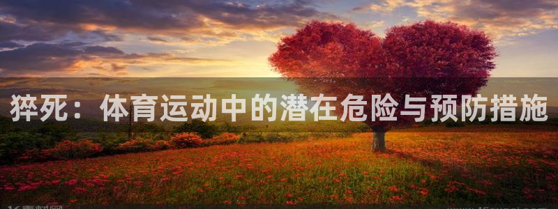 乐球体育的赛事直播：猝死：体育运动中的潜在危险与预防措施